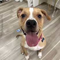 Thumbnail photo of Buffy #3