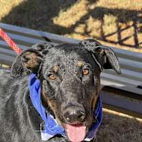 Thumbnail photo of REX #1