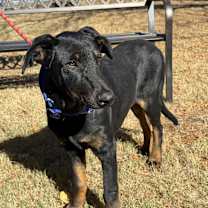 Thumbnail photo of REX #2