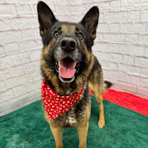 Thumbnail photo of Hearthfire #1