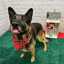 Thumbnail photo of Hearthfire #3