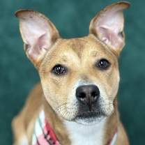 Thumbnail photo of Amery #1