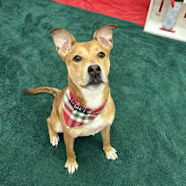 Thumbnail photo of Amery #3