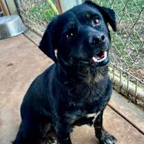 Thumbnail photo of Titus #1