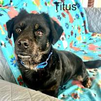Thumbnail photo of Titus #2