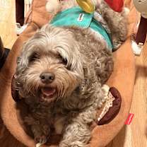 Thumbnail photo of SWEET PEA #1