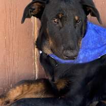 Thumbnail photo of REX #4