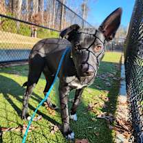 Thumbnail photo of Stan #3