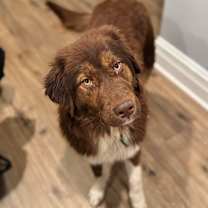 Thumbnail photo of Rondo #1