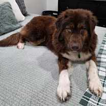 Thumbnail photo of Rondo #2