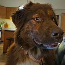 Thumbnail photo of Rondo #3