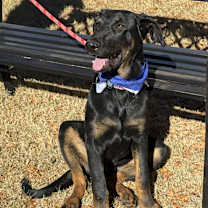 Thumbnail photo of REX #3