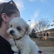 Thumbnail photo of Norman #1