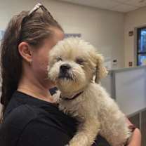 Thumbnail photo of Norman #3