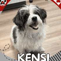 Thumbnail photo of KENSI #1