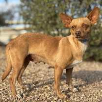 Thumbnail photo of Chiquita #1