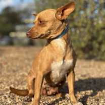 Thumbnail photo of Chiquita #4