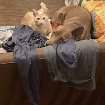 Thumbnail photo of Carmella #4