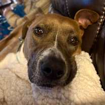 Thumbnail photo of Lily #4