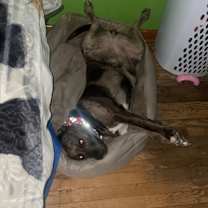 Thumbnail photo of Nebula #1