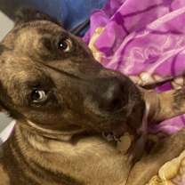 Thumbnail photo of Nebula #2