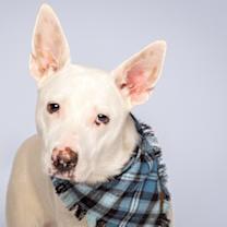 Thumbnail photo of Zero #1