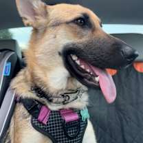 Thumbnail photo of Fenney #2