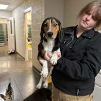 Thumbnail photo of Hambone #2