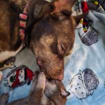 Thumbnail photo of Lilith #2