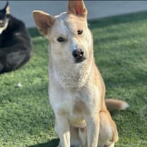 Thumbnail photo of Junior #1