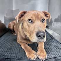 Thumbnail photo of Monroe #2