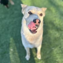 Thumbnail photo of Junior #3