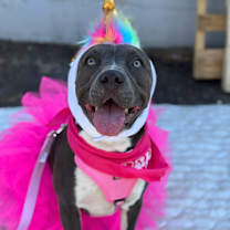 Thumbnail photo of Athena #2