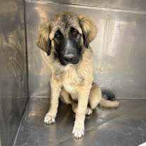 Thumbnail photo of Red #2