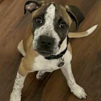 Thumbnail photo of Zeus #1