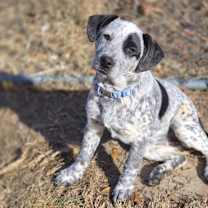 Thumbnail photo of Yarra #2