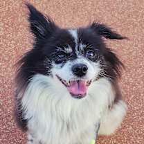 Thumbnail photo of Waltz(D) #1