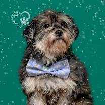 Thumbnail photo of Kane #2