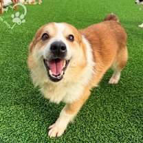 Thumbnail photo of Joel #2