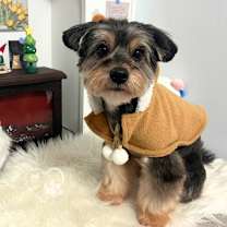 Thumbnail photo of Kane #3