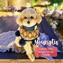 Thumbnail photo of Youngtu #1