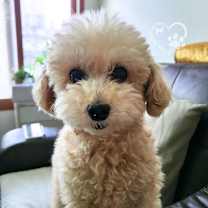 Thumbnail photo of Youngtu #2