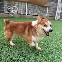 Thumbnail photo of Joel #3