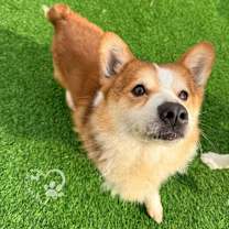 Thumbnail photo of Joel #4