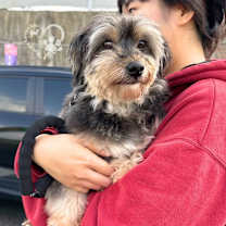 Thumbnail photo of Kane #4