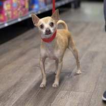 Thumbnail photo of Gram #1