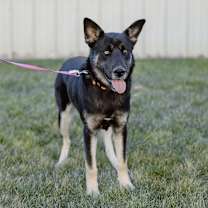 Thumbnail photo of Blessing #2