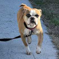 Thumbnail photo of Shelby Agnus Workman Chattanooga, TN 4821 #4