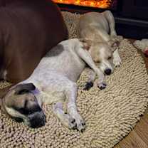 Thumbnail photo of Sara #3