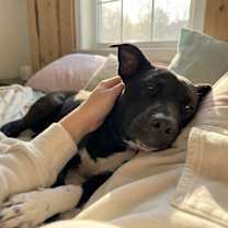 Thumbnail photo of Violet #3